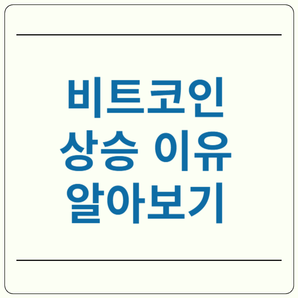 비트코인 시세 상승 이유
