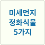 미세먼지정화식물