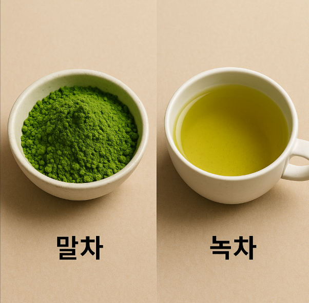 말차 녹차 차이
