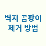 벽지 곰팡이 제거