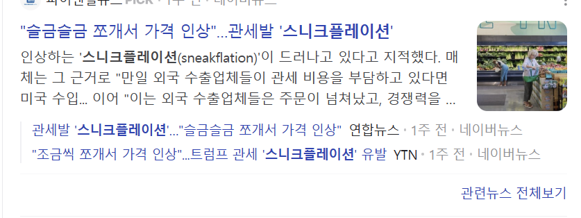 스니크플레이션 뜻