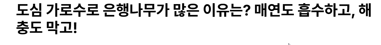 은행나무 장점