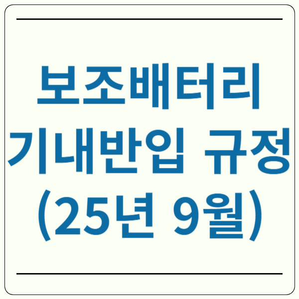 보조배터리 비행기 기내반입