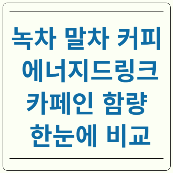 녹차 말차 커피 에너지드링크 카페인 비교
