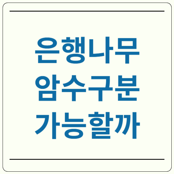 은행나무 열매 암수 구분