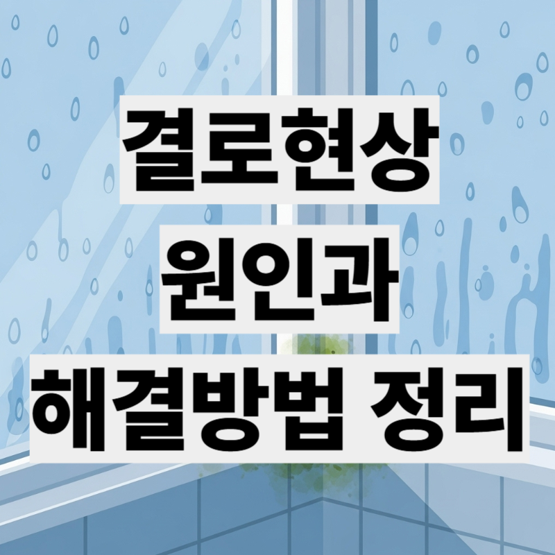 결로현상 원인 해결 곰팡이