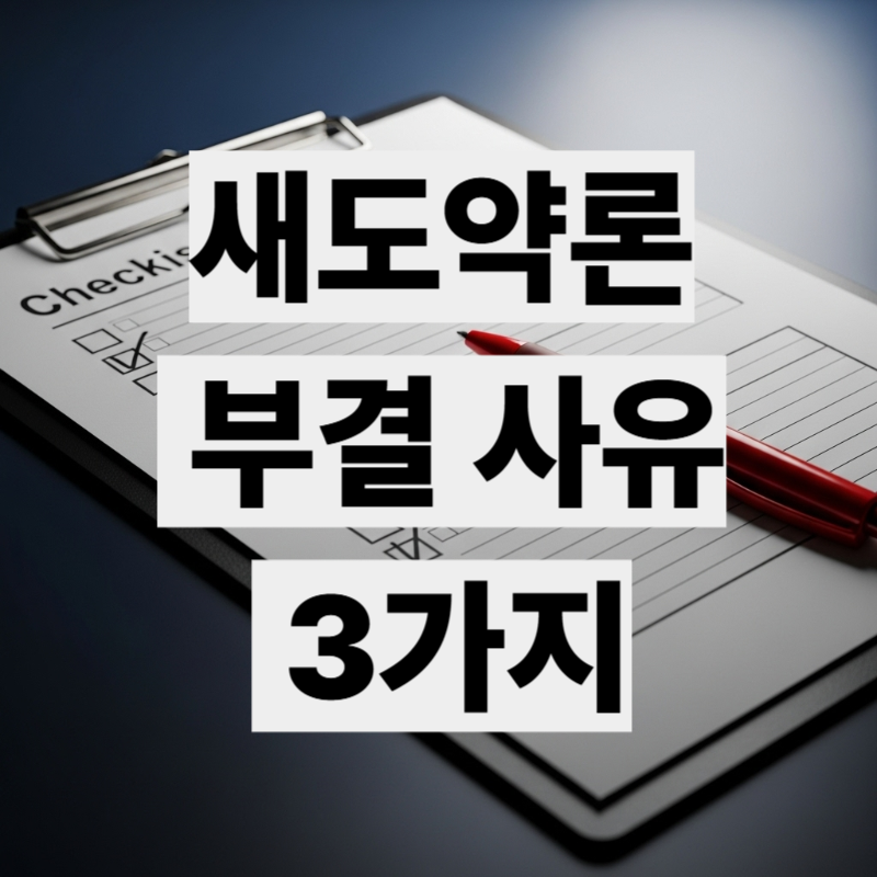 새도약론 부결