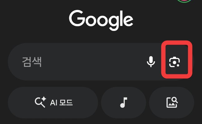 구글 앱을 통해 꽃 이름 검색할 수 있는 렌즈 기능을 설명하는 이미지